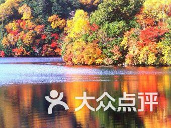 明知道对方不喜欢你,你还会表白吗?-专业问答类网站